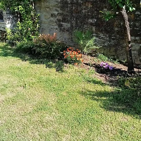 La Casa Di Alba Lejlighed Cortona
